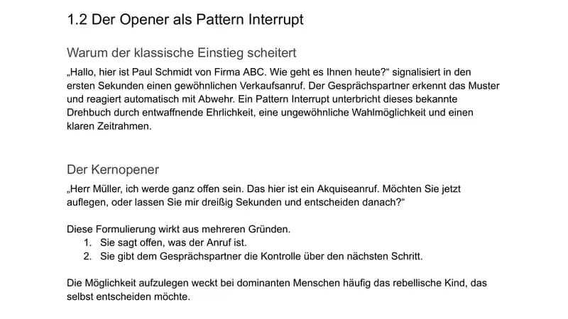 Auszug aus dem Leitfaden: Der Opener als Pattern Interrupt