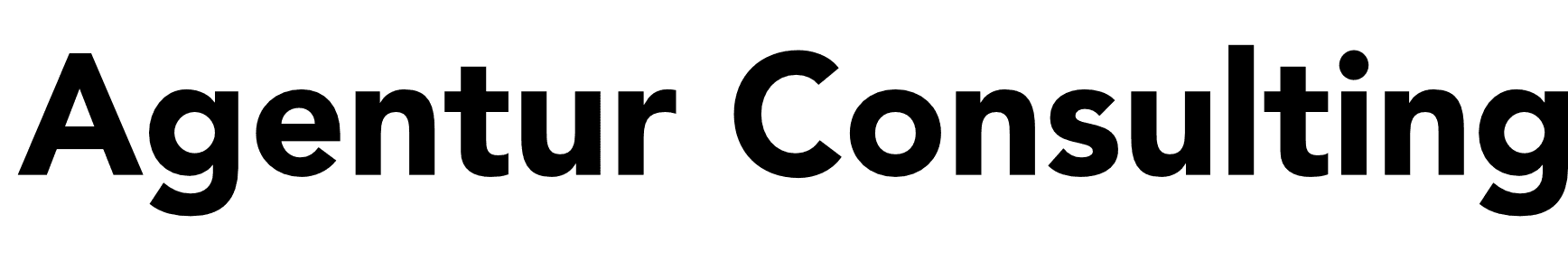 Agentur Consulting